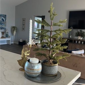 Galvanized metal tray, and planter bundle.